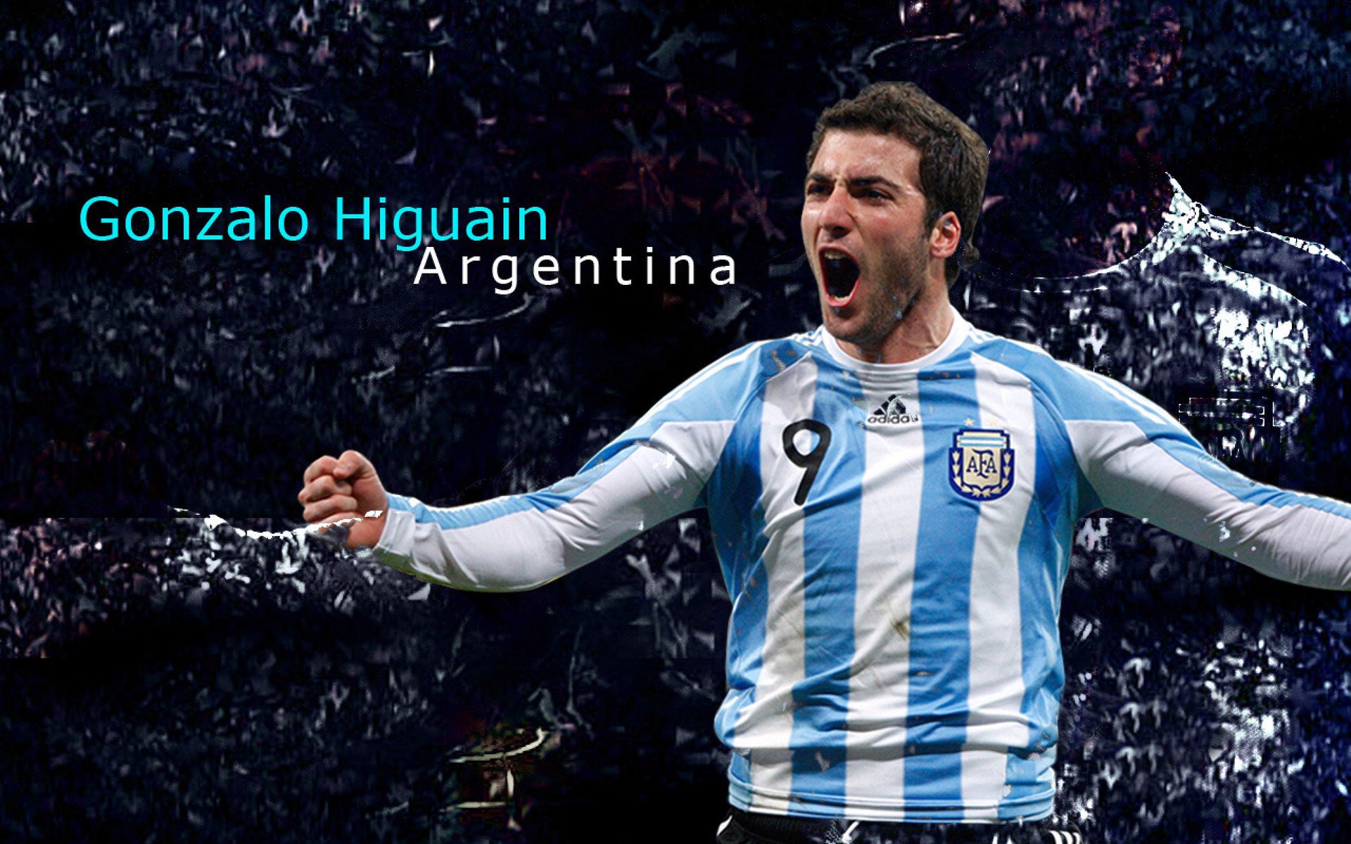 _尼克斯新星爆发，平地一声雷_，尼克斯有意